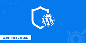 10 Sure Ways To Secure Your WordPress Website